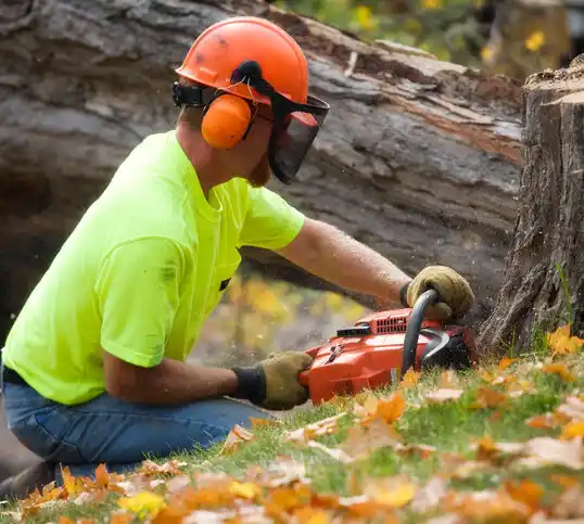 tree services Hillside